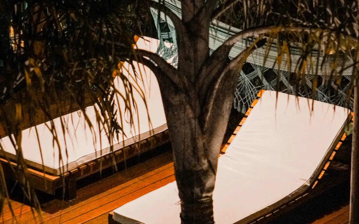 Árvore com folhagem escura em primeiro plano sobre deck de madeira, com piscina verde turquesa ao fundo e estrutura de vidro iluminada