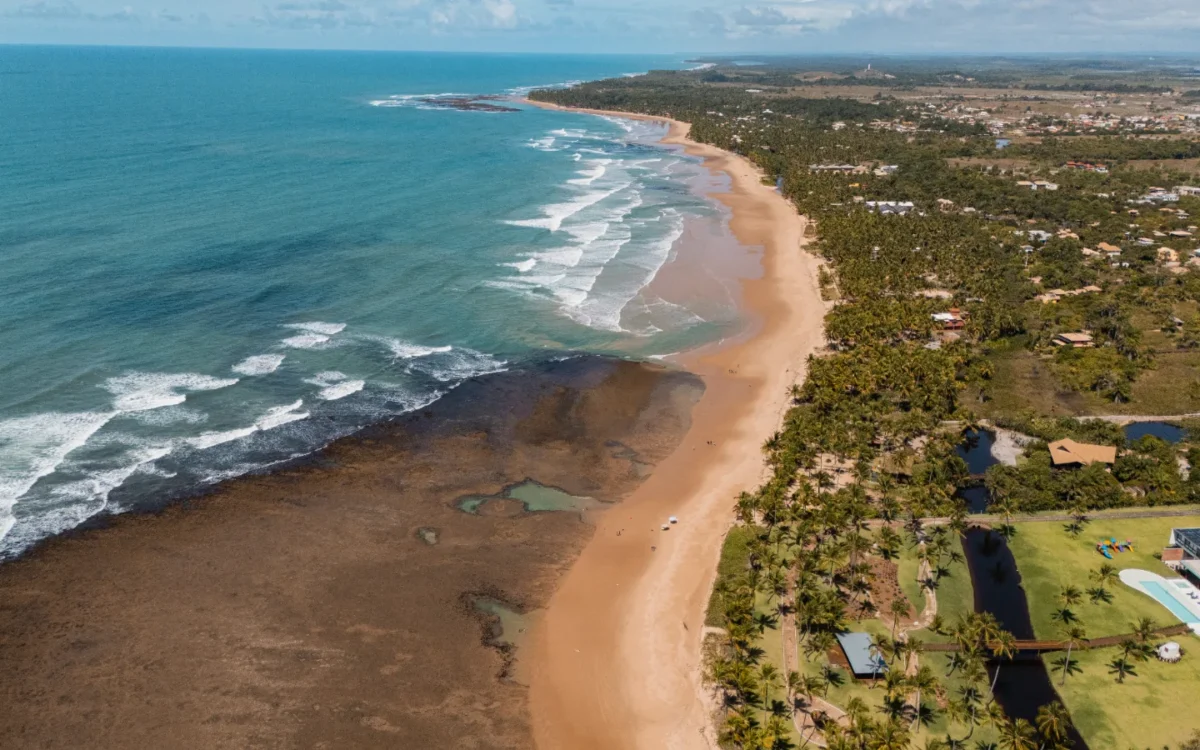 Vista aérea de uma praia com areia dourada, ondas, vegetação tropical densa e casarões espalhados pela região costeira